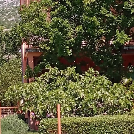 Lejlighed Pinka Seline